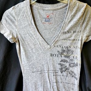American Eagle Favorite V-neck graphic T